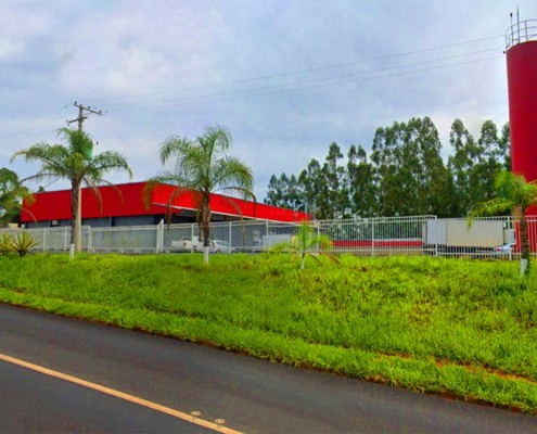 Suins Carne Suina Defumado Paleta Hamburguer Bacon Papada